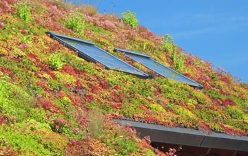 Rothney living roof systems
